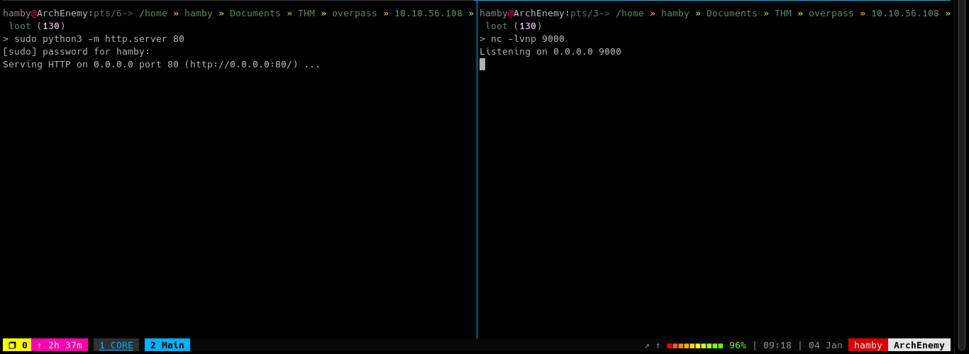 Reverse Shell Listener